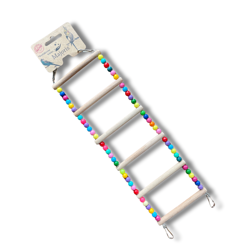 Büyük Papağan Merdiveni